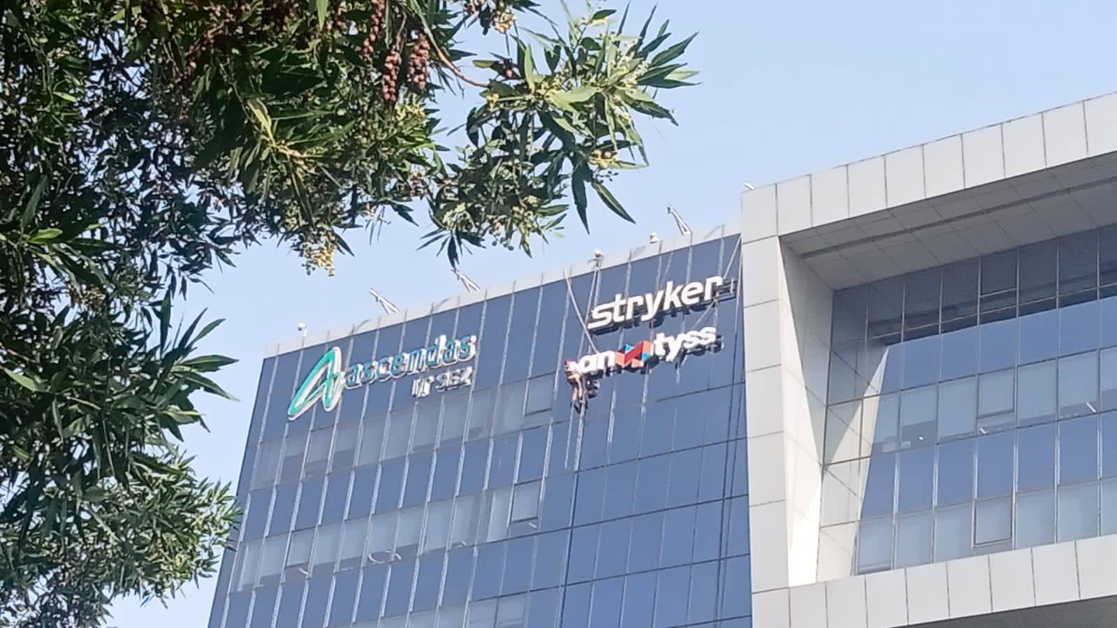 Retail Store Branding